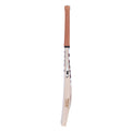 SS TON Gutsy English Willow Cricket Bat - SH (Short Handle)