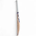 SG EW ST ICON BAT