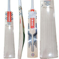 Gray Nicolls Players Edition EN English Willow Cricket Bat
