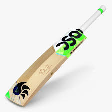 DSC Wood David Miller Signature Cricket Bat